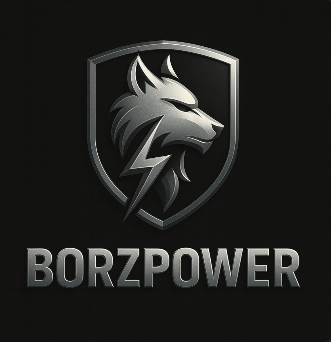 Borzpower.tv